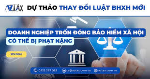 Thiết lập chế tài xử lý hành vi trốn đóng, chậm đóng Bảo hiểm xã hội (30/08/2024)